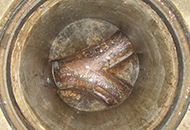 木の根を除去してキレイになった汚水マス内部の写真